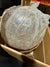 Capiz Honeycomb Medium Pendant - The Home Decor Outlet