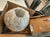 Capiz Wall Scone - The Home Decor Outlet