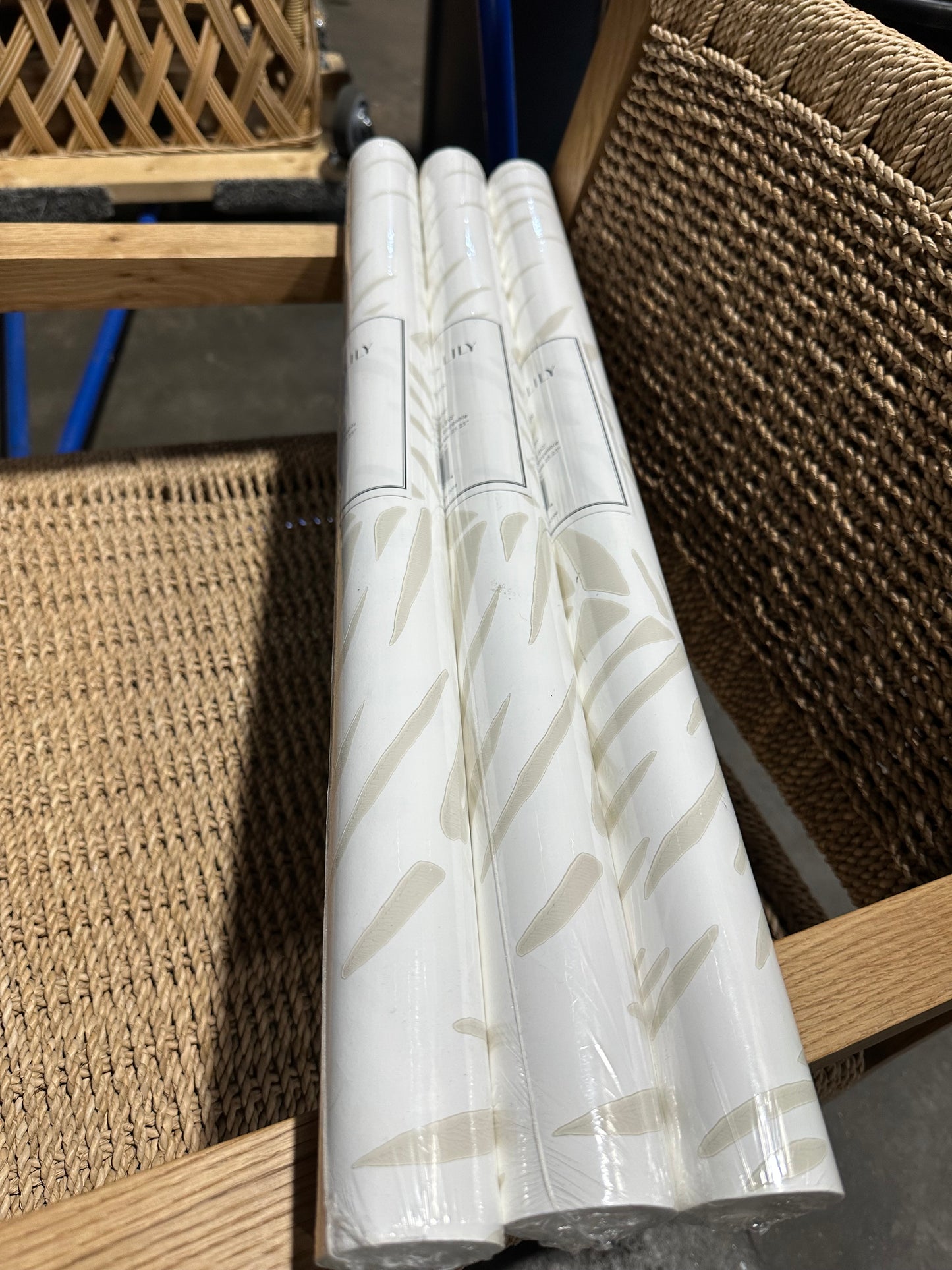 Palm Wallpaper-Sand Beige - The Home Decor Outlet