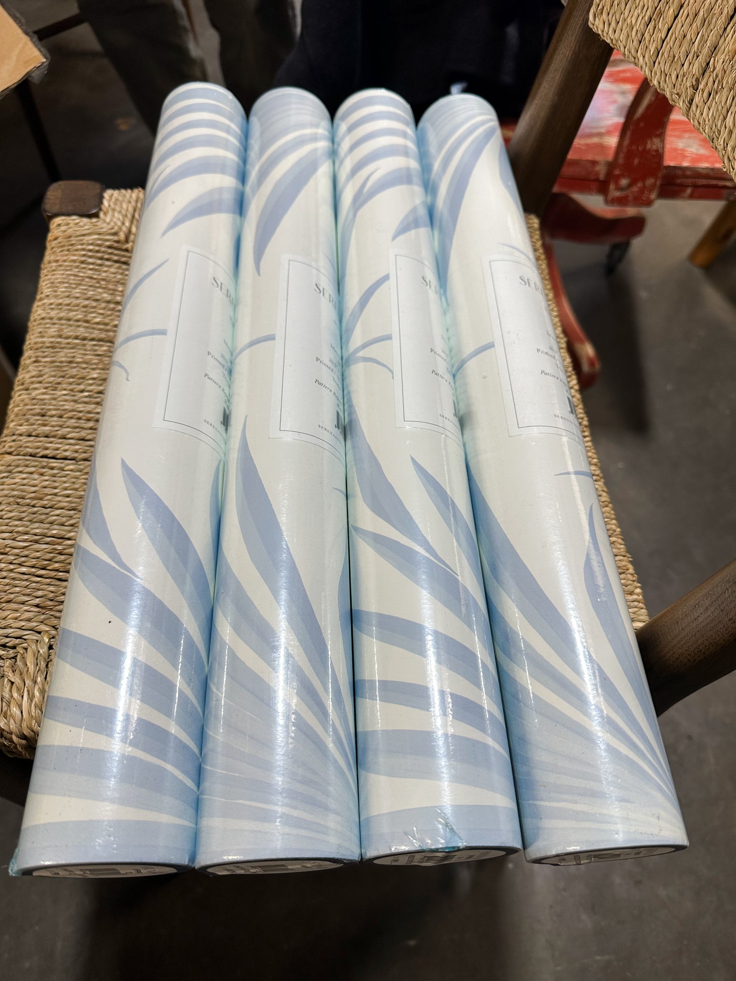 Island Palm Wallpaper-Sky - The Home Decor Outlet