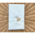 Bristol Percale Euro Pillow Sham-Sky Blue - The Home Decor Outlet