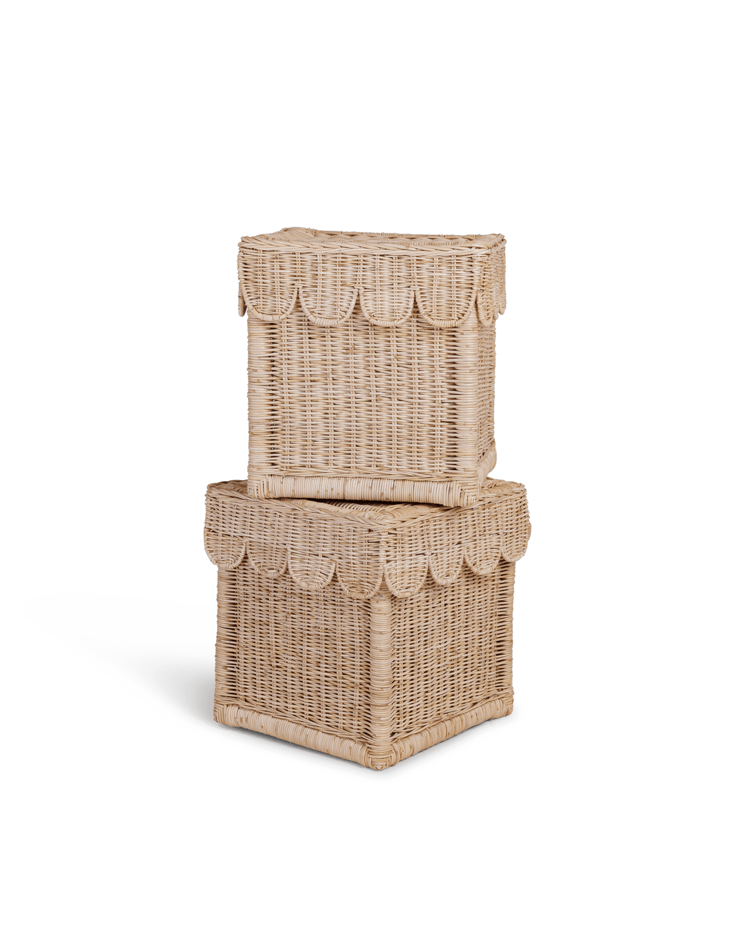 Scallop Storage Rattan Bin With Lid - The Home Decor Outlet
