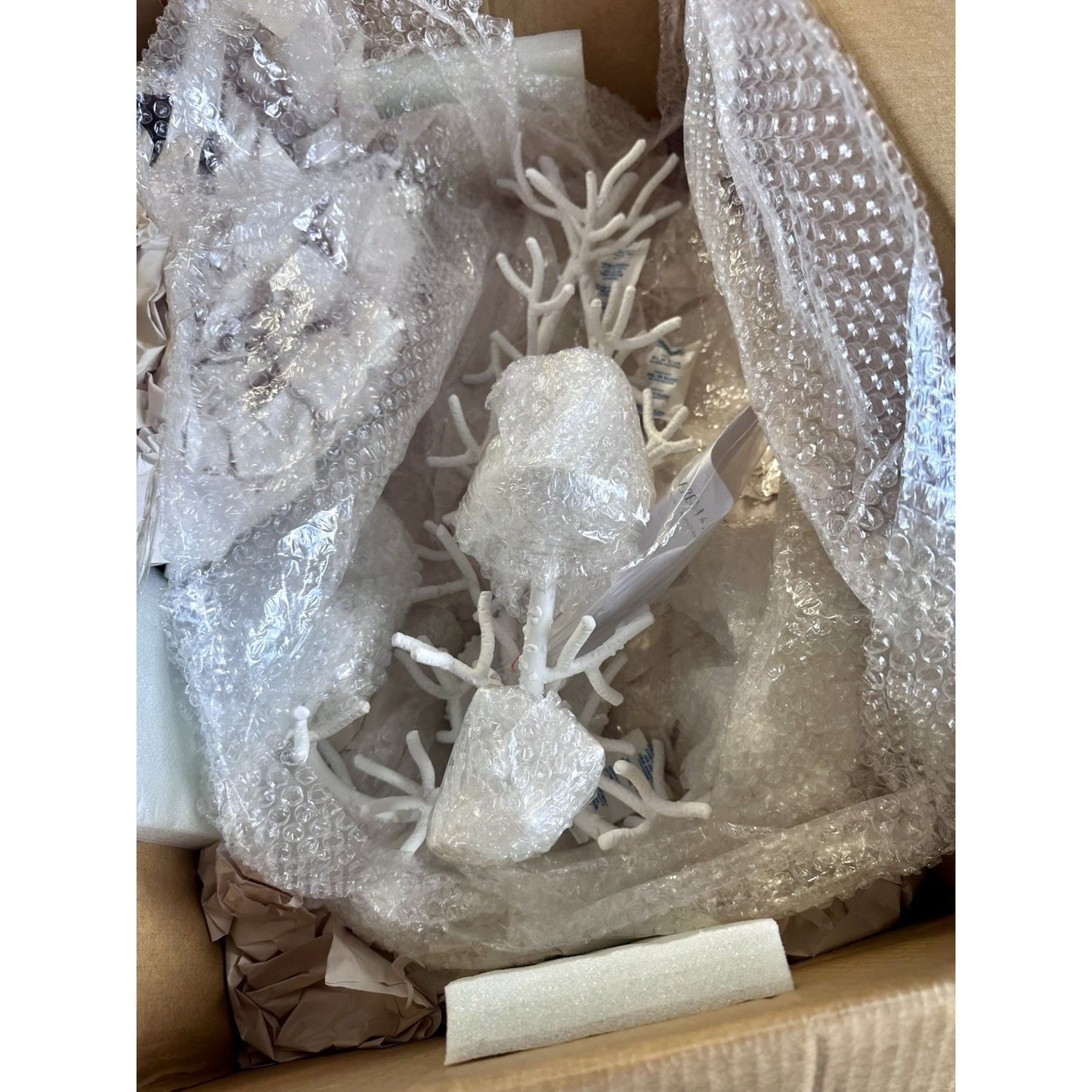 Coral Sconce (Shadeless)-White