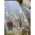 Coral Sconce (Shadeless)-White