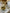 Westbrooke Single Sconce-Brass Base/Frosetd Glass Shade