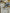Westbrooke Single Sconce-Brass Base/Frosetd Glass Shade