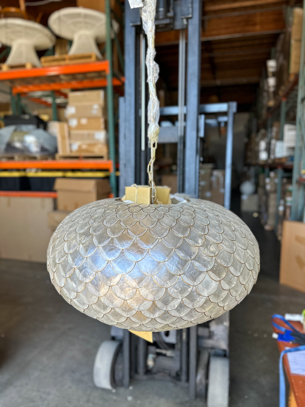 Capiz Scalloped Coastal Chandelier (32” DIAM)