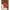 Pacifica Outdoor Pendant (26” DIAM)-Driftwood White