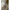 Pacifica Outdoor Pendant (26” DIAM)-Driftwood White