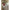 Pacifica Outdoor Pendant (26” DIAM)-Driftwood White