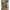 Visual Comfort Linear Lantern Short CHO 2908AB-Antique-Burnished Brass Gold