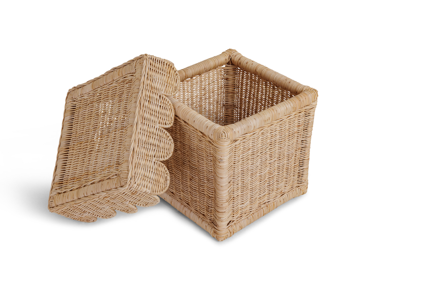 Scallop Storage Bin With Lid