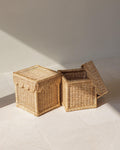 Scallop Storage Rattan Bin With Lid - The Home Decor Outlet
