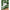Palm Pillow Cover (14”x30”)-Green