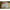 Summerland Outdoor Round Pendant (20” DIAM)-Light Dune Brown