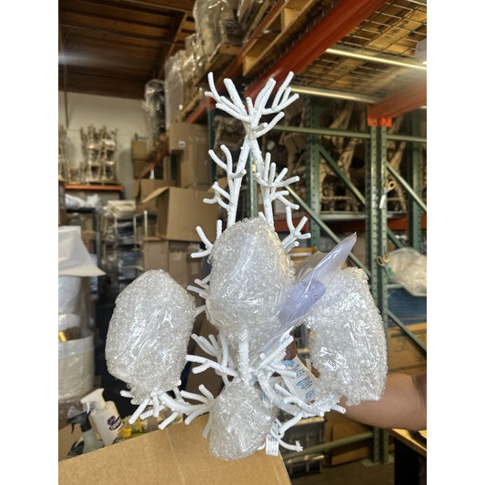 Coral Sconce (Shadeless)-White
