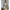 Coral Sconce (Shadeless)-White