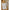 Capiz Flushmount (Large)-Brass Gold
