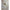 Santa Barbara Rattan Bell Plug-in Pendant-White