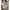Lenox Pendant (14” DIAM)-Antique Burnished Brass/Matte White Shade