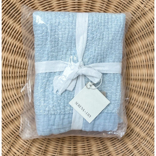 Almonte Standard Pillow Sham-Blue Chambray/White - The Home Decor Outlet