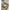 Capiz Flush Mount (Small)-Brass Gold