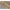 Summerland Outdoor Medium Lantern-Light Dune Brown