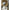 Larkspur Task Sconce (Various Shades)-Brass Base