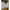 Larkspur Task Sconce (Various Shades)-Brass Base