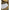 Larkspur Task Sconce (Various Shades)-Brass Base