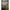 Headlands Ring Rattan Pendant-Natural Brown